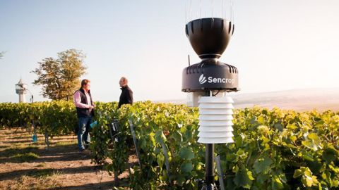 Cette collaboration entre Sencrop et Netafim s’adresse principalement aux viticulteurs, mais concerne également d’autres cultures telles que les pommes de terre, les légumes, les fruits à coques, etc.